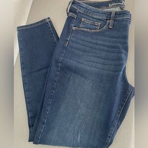 Universal Thread Dark Blue high rise Skinny Jeans